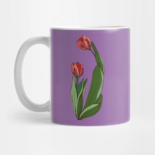 Botanical illustration of the plant tulips Mug